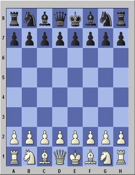 Image for event: Long Island Chess Nuts (Entering grades 1-5)