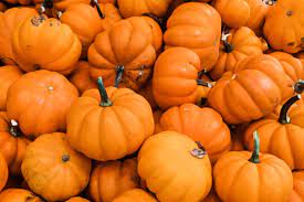 Image for event: Pumpkins, Pumpkins (ages 3-5 years) 