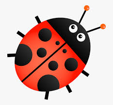 Image for event: June Bugs (Ages 3-5)